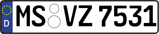 MS-VZ7531