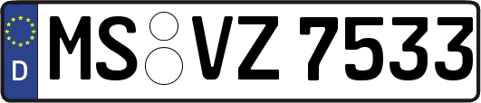 MS-VZ7533