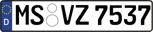 MS-VZ7537
