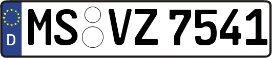 MS-VZ7541
