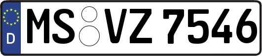 MS-VZ7546