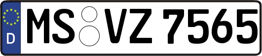 MS-VZ7565