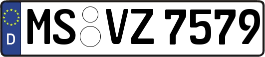 MS-VZ7579