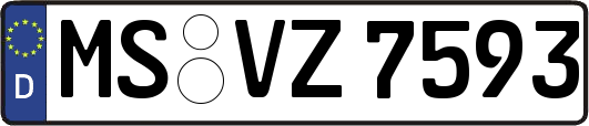 MS-VZ7593