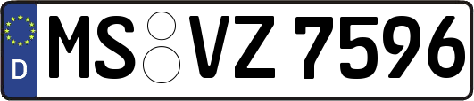 MS-VZ7596