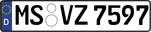 MS-VZ7597