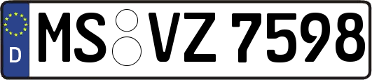 MS-VZ7598