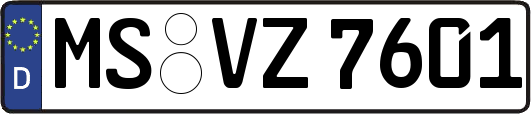 MS-VZ7601