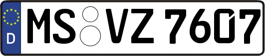 MS-VZ7607