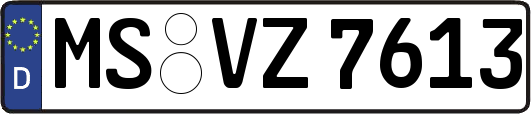 MS-VZ7613