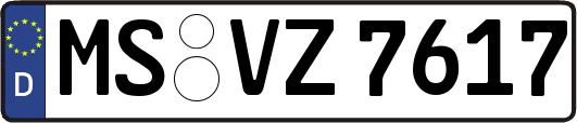 MS-VZ7617
