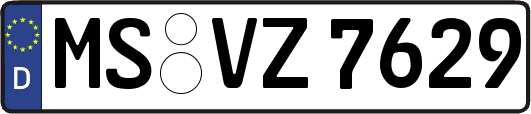 MS-VZ7629