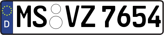 MS-VZ7654