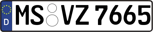 MS-VZ7665