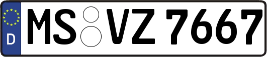 MS-VZ7667