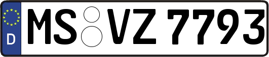 MS-VZ7793