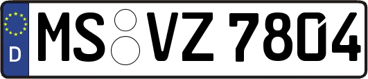 MS-VZ7804