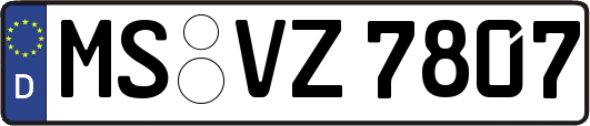 MS-VZ7807