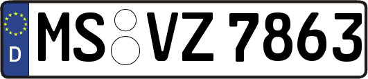 MS-VZ7863