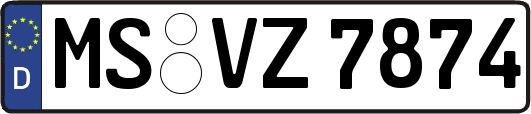 MS-VZ7874