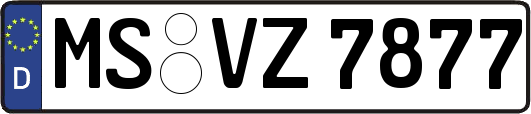 MS-VZ7877