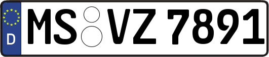MS-VZ7891