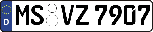 MS-VZ7907