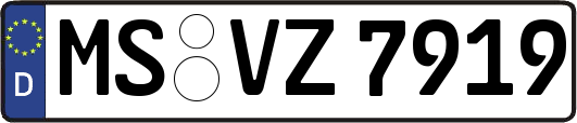 MS-VZ7919