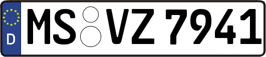 MS-VZ7941
