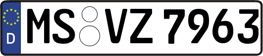 MS-VZ7963