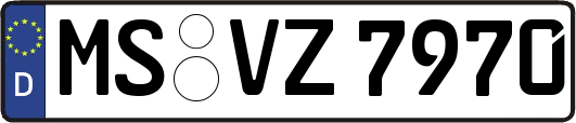 MS-VZ7970