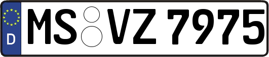 MS-VZ7975