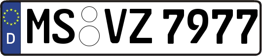 MS-VZ7977