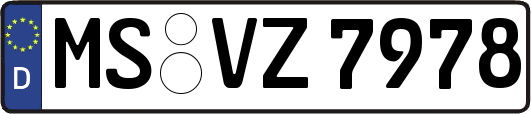 MS-VZ7978