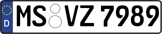 MS-VZ7989