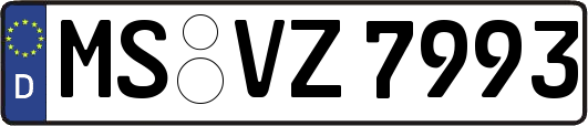 MS-VZ7993