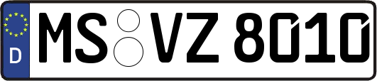MS-VZ8010