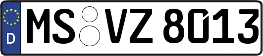 MS-VZ8013