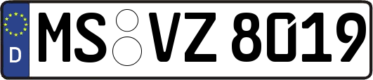 MS-VZ8019