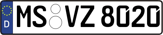 MS-VZ8020
