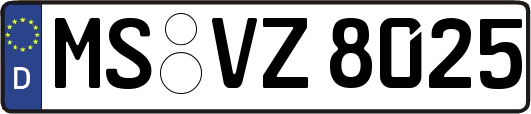 MS-VZ8025