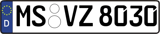 MS-VZ8030