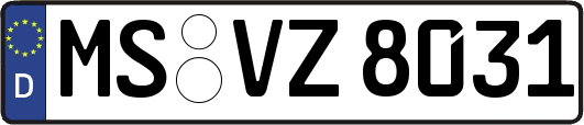 MS-VZ8031