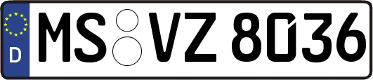 MS-VZ8036