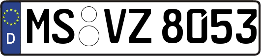 MS-VZ8053