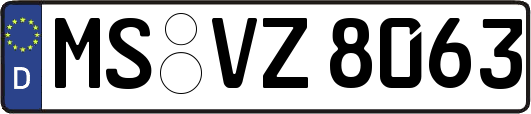 MS-VZ8063