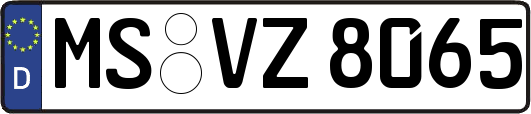 MS-VZ8065