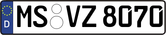 MS-VZ8070