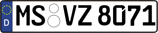 MS-VZ8071