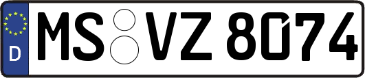 MS-VZ8074